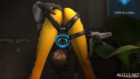 新疆队的挣 新疆队的挣